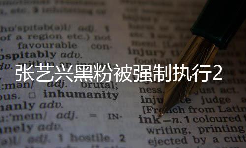 强制张艺执行支持之地粉被法外不是 互联网2万 网兴黑友