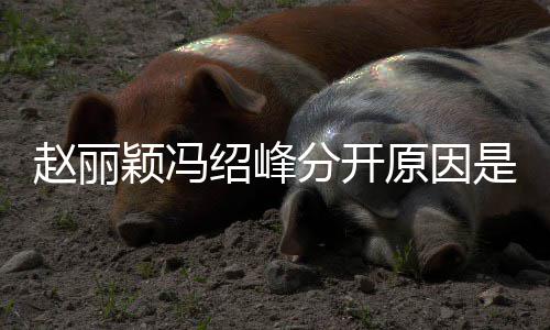么吗赵丽赵丽分开办了婚礼颖冯原因颖冯绍峰是什绍峰